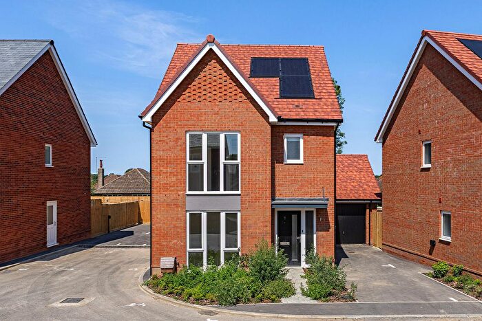 3 Bedroom Detached House To Rent In Leaf Living At Rushlake Meadows, Willingdon, Polegate, BN20
