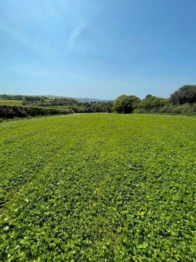 Land For Sale In Lanescot, Par, PL24