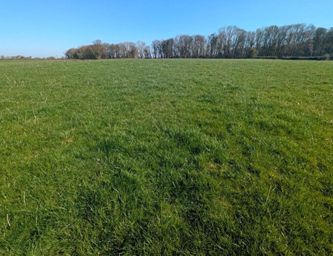 Land For Sale In Land At Little Corby Hall, Little Corby Hall, Carlisle, Cumbria, CA4