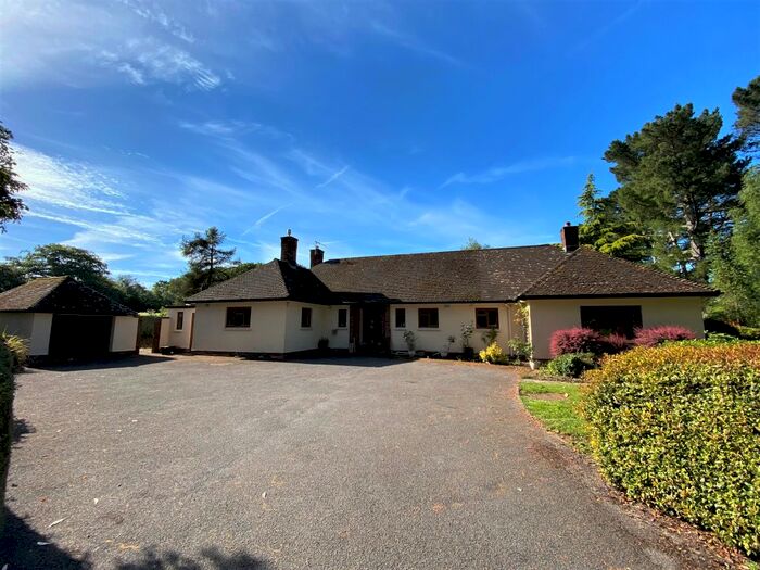 3 Bedroom Detached Bungalow To Rent In Crowcombe, Taunton, TA4