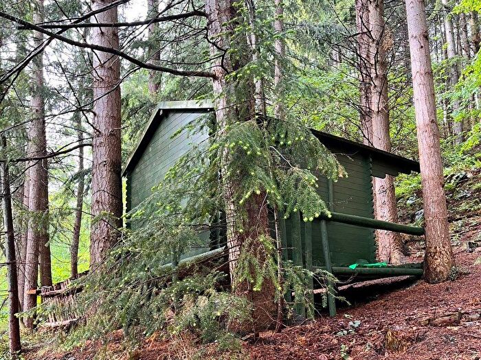 Log Cabin For Sale In Middle Bank Wood, Coed Bwlch, Rhysgog, Llangollen, Denbighshire, LL20