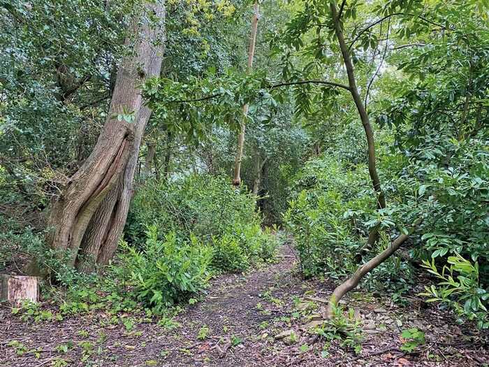 Land For Sale In Giles Lane, Lodsworth, Petworth GU28