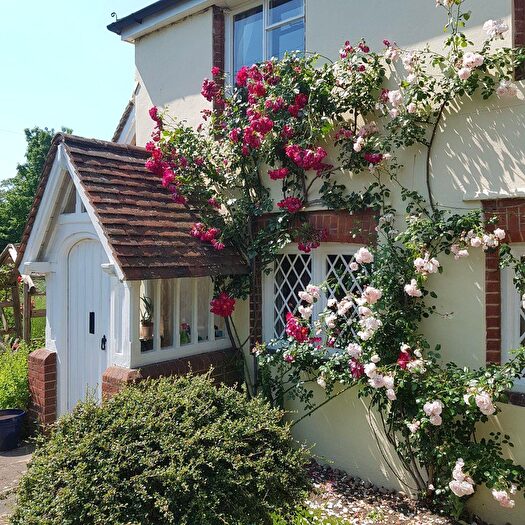 4 Bedroom Detached House For Sale In Tilburstow Hill Road, South Godstone, RH9
