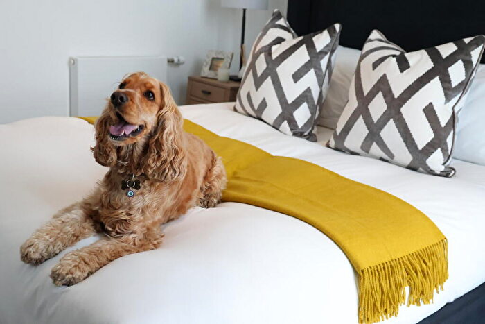 1 Bedroom Flat To Rent In Ostro Tower, Harbour Way, London, E14
