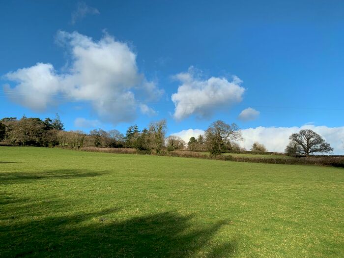 Land For Sale In South Brent, TQ10
