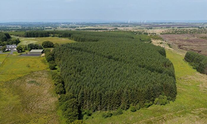 Land For Sale In Ardochrig Wood, S.Lanarkshire, G75