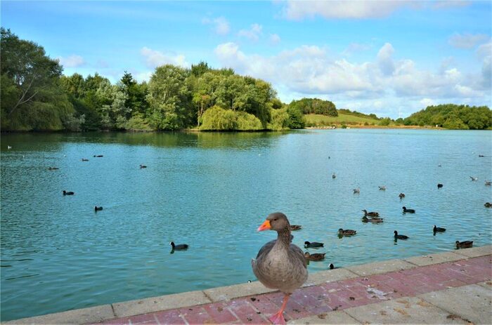 1 Bedroom Apartment For Sale In Whinchat, Aylesbury, Buckinghamshire, HP19