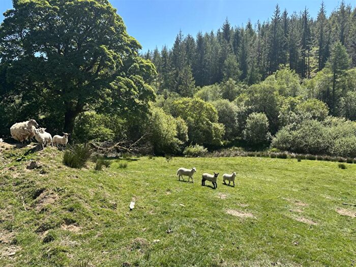 Farm Land For Sale In Rhydcymerau, Llandeilo, SA19