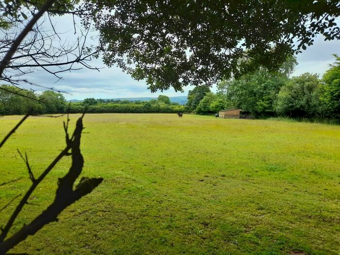 Land For Sale In Buckland-In-The-Moor, Ashburton, Newton Abbot, TQ13