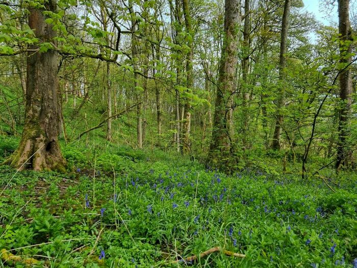 Land For Sale In Lot : Gospel Farm, Bramley Lane, Hassop, Bakewell, DE45