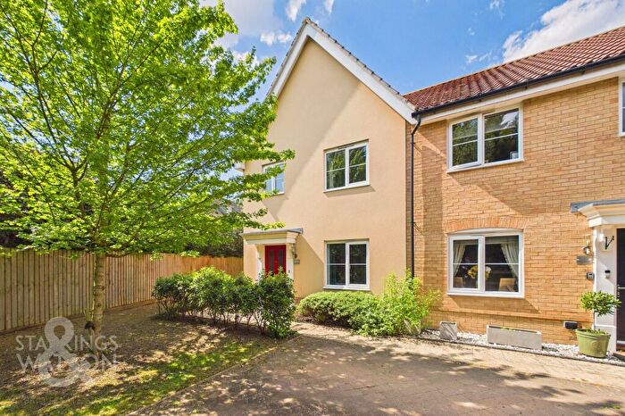 3 Bedroom Semi-Detached House For Sale In Meadowsweet Mews, Tharston, Norwich, NR15
