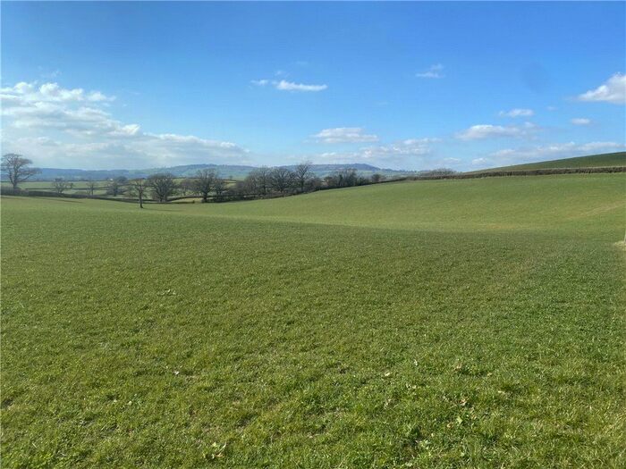 Land For Sale In Pilsdon, Bridport, Dorset, DT6