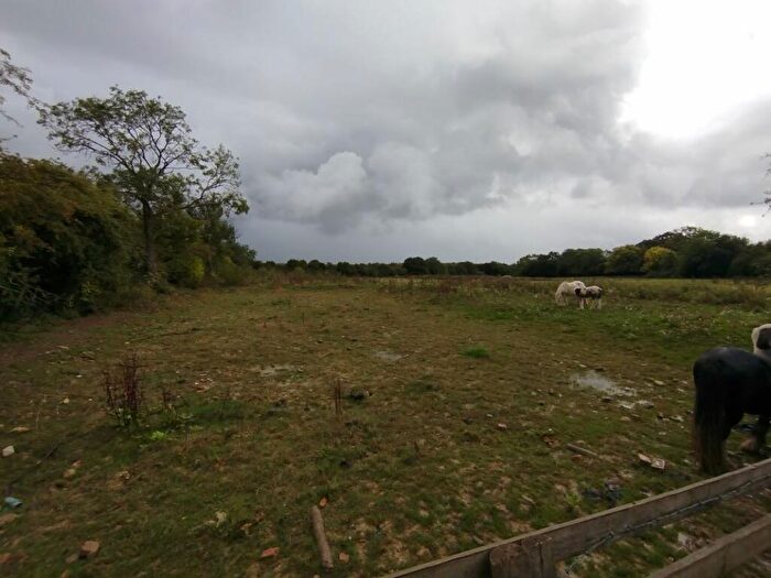 Land For Sale In Land On The North Side Of, Millfield Lane, Little Hadham, Ware, Hertfordshire, SG11