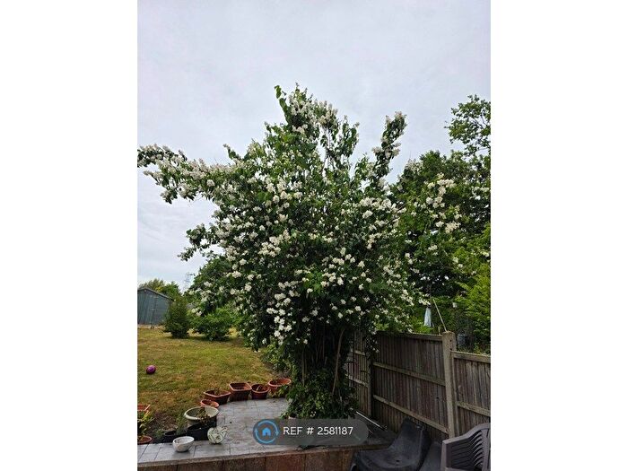 4 Bedroom Detached House To Rent In Silverdale Road, Reading, RG6