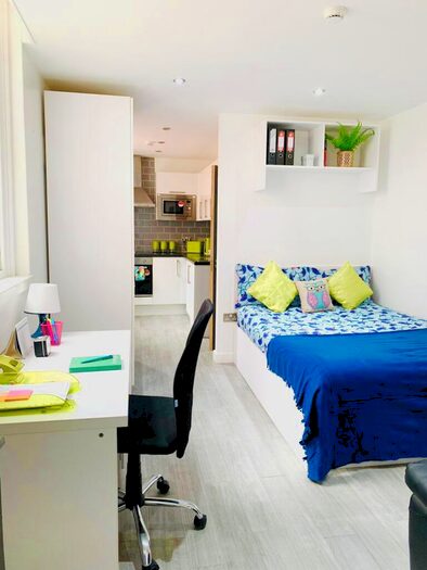 1 Bedroom Property To Rent In (Large Studio) Demontfort Street, Leicester, LE1