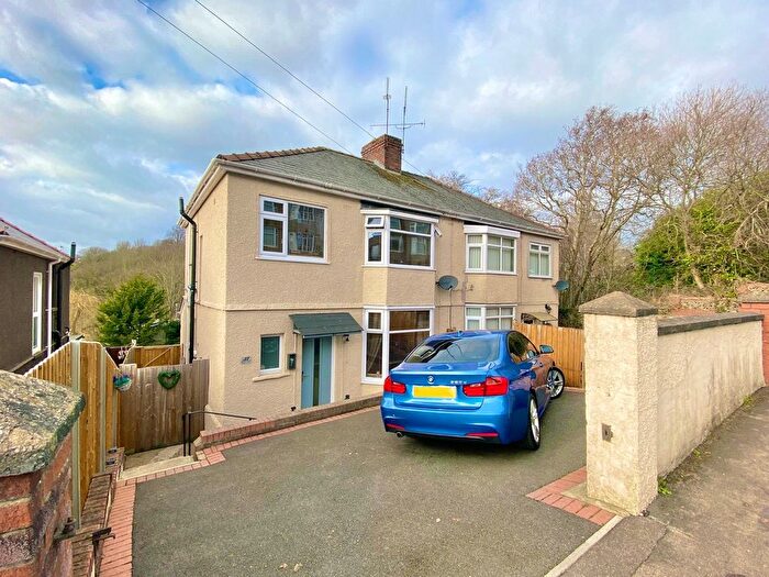 3 Bedroom Semi Detached House For Sale In Brynglas Road, Newport, NP20