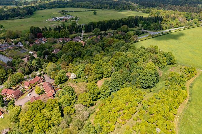 Land For Sale In The East Side Of Reading Road, Heckfield, RG27