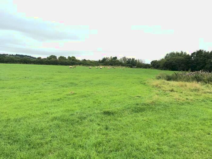 Commercial Farm Land For Sale In Puriton Road, Pawlett, Bridgwater, TA6