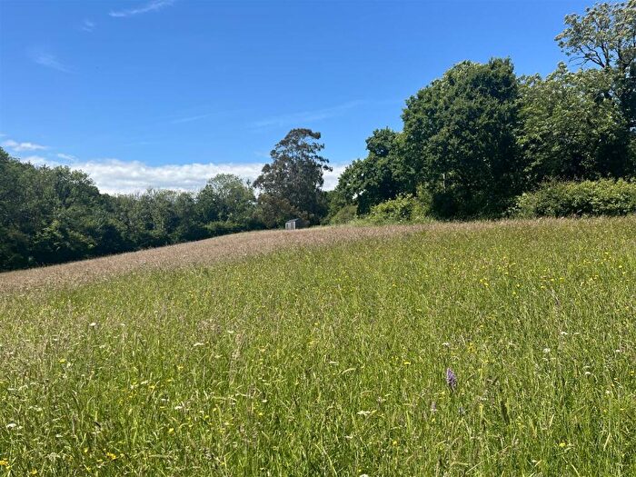 Land For Sale In Whitchurch Canonicorum, Bridport, DT6