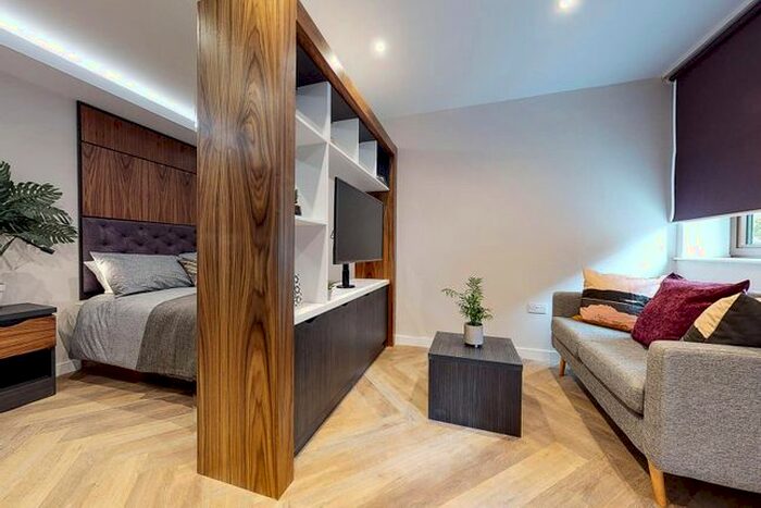 Studio To Rent In Apt, Live Oasis Wade Lane #, LS2