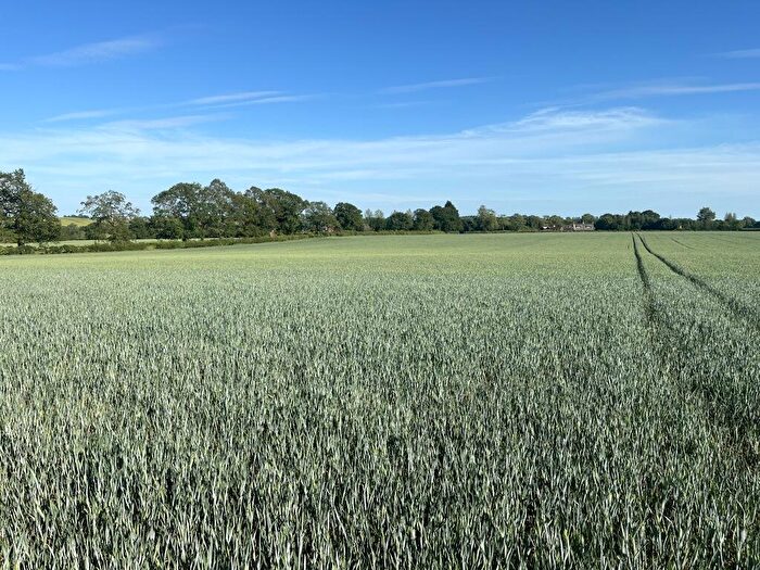 Farm Land To Rent In Lot - Land Off, Middleton Cheney, OX17