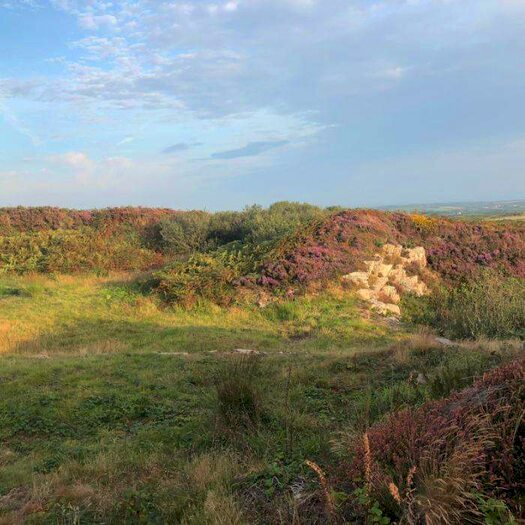 House For Sale In Penzance, Cornwall, TR20