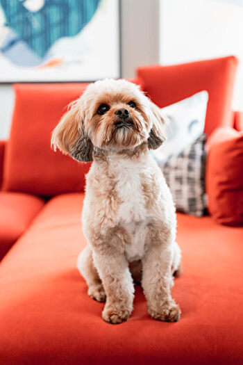 2 Bedroom Apartment To Rent In Station Approach, Epsom, Surrey, KT19