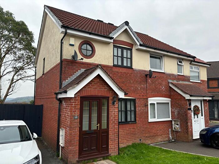 2 Bedroom Semi Detached House To Rent In Clos Eileen Chilcott, Llansamlet, Swansea, SA7