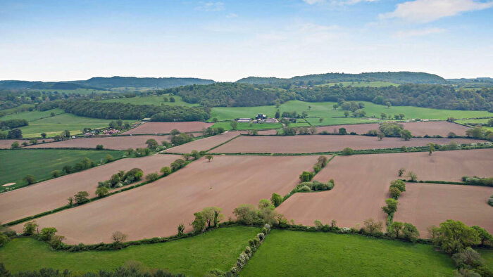 Farm Land For Sale In Oak Farm, Broxton - Lot, CH3