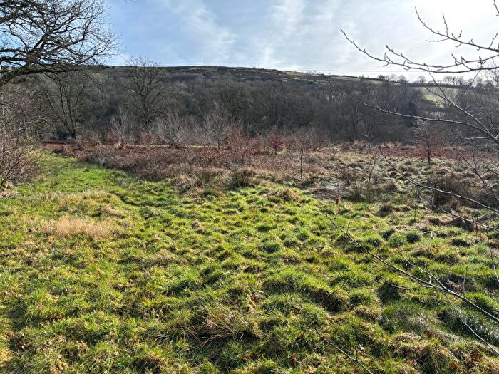 Farm Land For Sale In Llanfair Road, Cellan, Lampeter, SA48