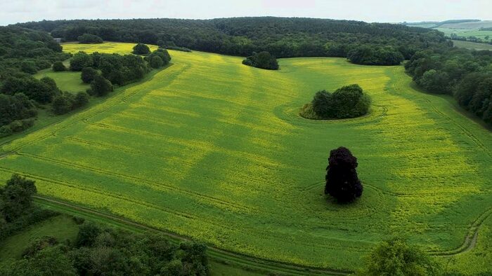 Land For Sale In Land Off Coombe Lane, West Meon, GU32