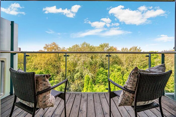 3 Bedroom Flat To Rent In The Bridge, Battersea, London, SW11