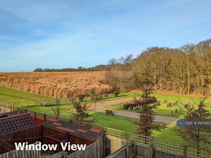 3 Bedroom Semi-Detached House To Rent In Dr Torrens Way, New Costessey, Norwich, NR5