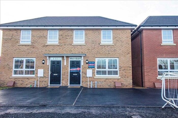 3 Bedroom Semi-Detached House To Rent In Wisteria Place, West Meadows, Cramlington, NE23