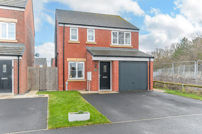 3 Bedroom Detached House For Sale In Gannet Drive, North Sea Manor, Amble, Morpeth, Northumberland, NE65