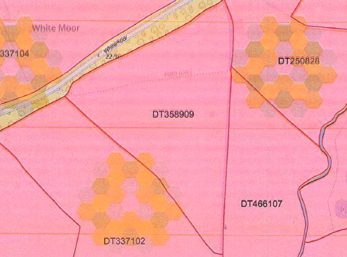 Land For Sale In Whitemoor, Holt, Wimborne, BH21