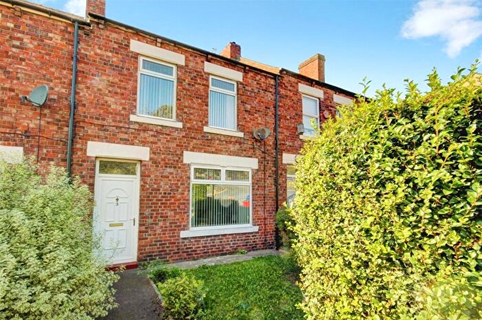 3 Bedroom Terraced House For Sale In Neale Terrace, Birtley, Chester Le Street, DH3