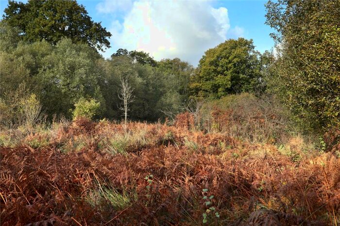 Land For Sale In Inwardleigh, Okehampton, Devon, EX20