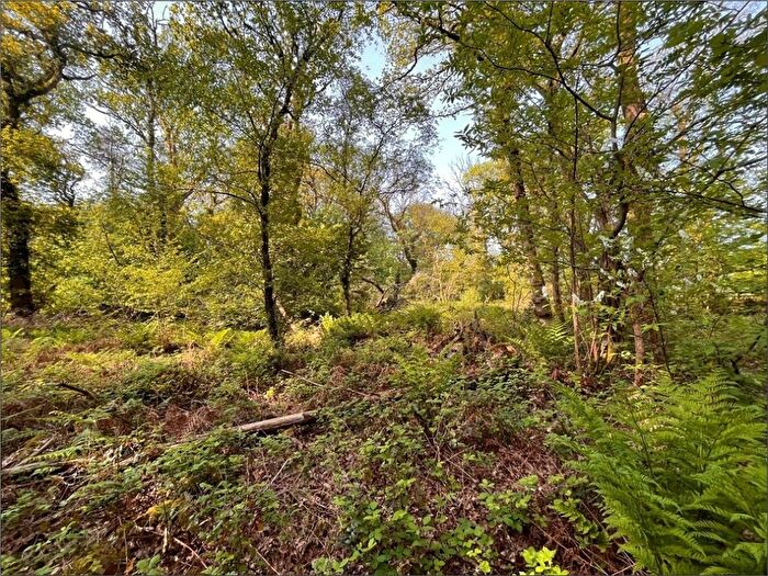 Land For Sale In Hensol, Pontyclun, Vale Of Glamorgan, CF72