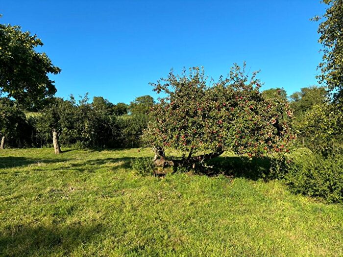 Farm Land For Sale In Leaze Drove, Bleadney, BA5