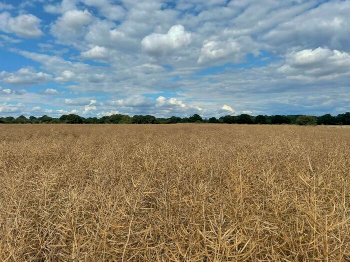 Farm Land To Rent In Hatfield, Hertfordshire, AL10