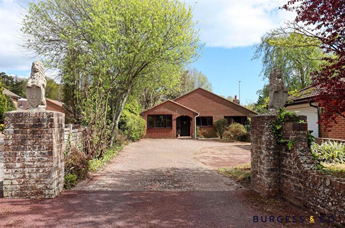 4 Bedroom Detached Bungalow For Sale In Dalmeny Road, Bexhill-On-Sea, TN39