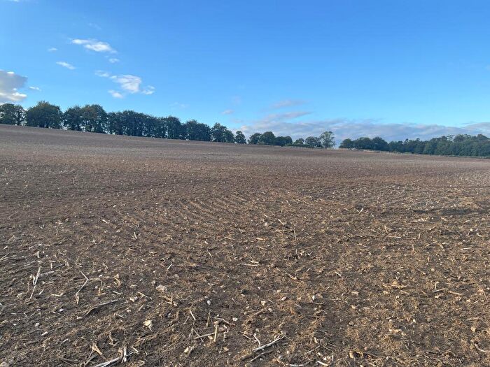Land For Sale In Mare Lane Cottage, Hensting Lane, Owslebury, Hampshire, SO21