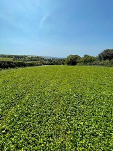 Land For Sale In Lanescot, Par, PL24