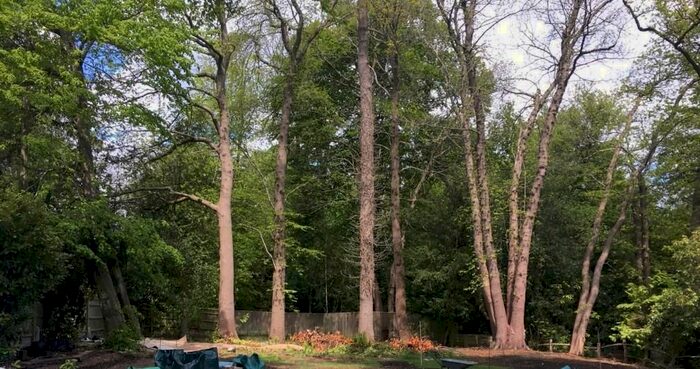 Land For Sale In Land To The South Of Tanners, Pembury Grange, Tunbridge Wells, TN2