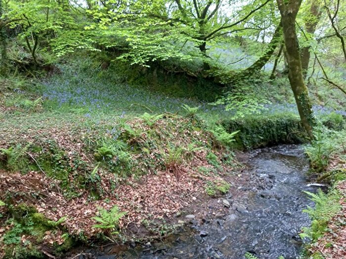 Farm Land For Sale In West Putford, Holsworthy, EX22