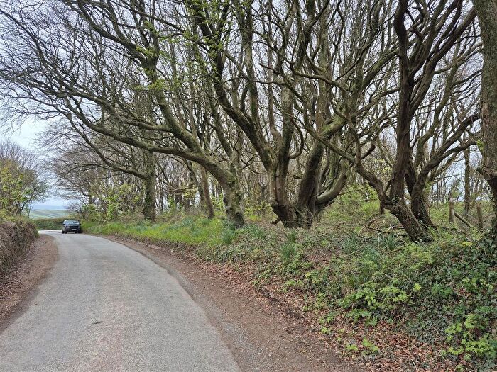 Land For Sale In Georgeham, Braunton, EX33