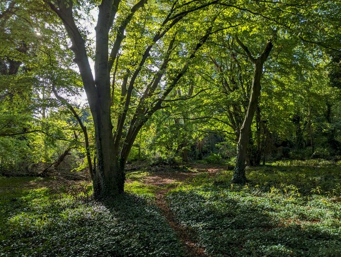 Land For Sale In West Studdal, Dover, CT15