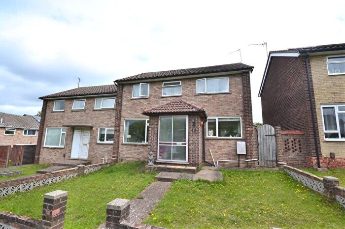 3 Bedroom Semi Detached House To Rent In Tulip Walk, Colchester, CO4