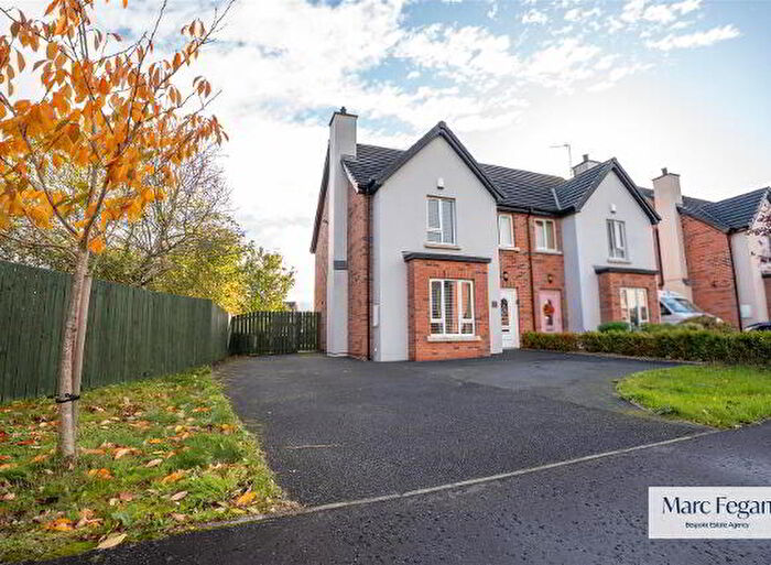 3 Bedroom Semi-Detached House For Sale In Cedar Wood, Craigavon, BT63